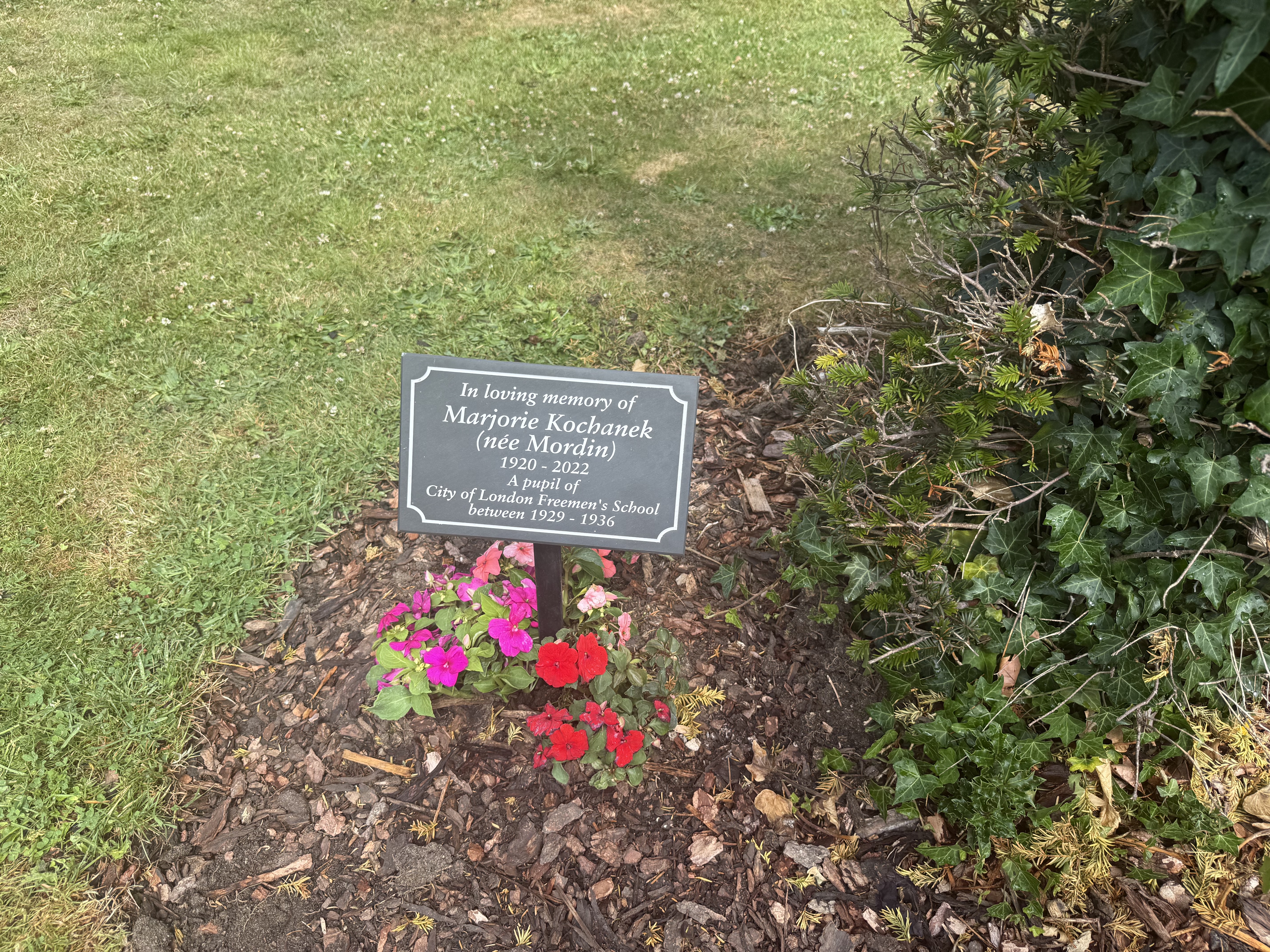 In remembrance of Marjorie Kochanek (née Mordin